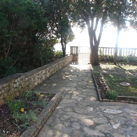 Villa Luna With Seaview Petrcane Εξωτερικό φωτογραφία