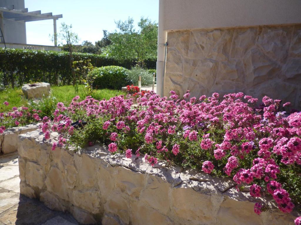 Villa Luna With Seaview Petrcane Δωμάτιο φωτογραφία